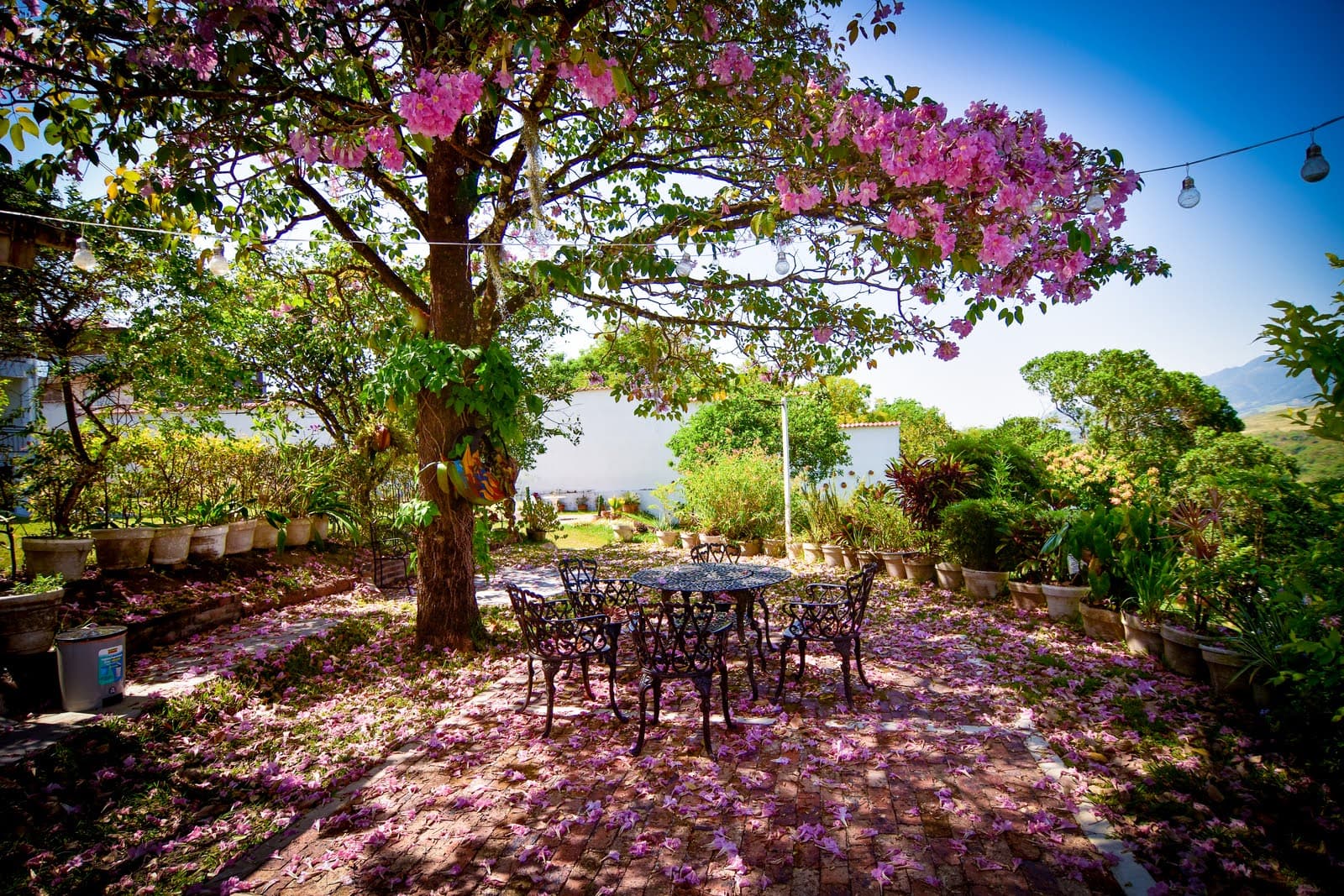 Mirador panorámico